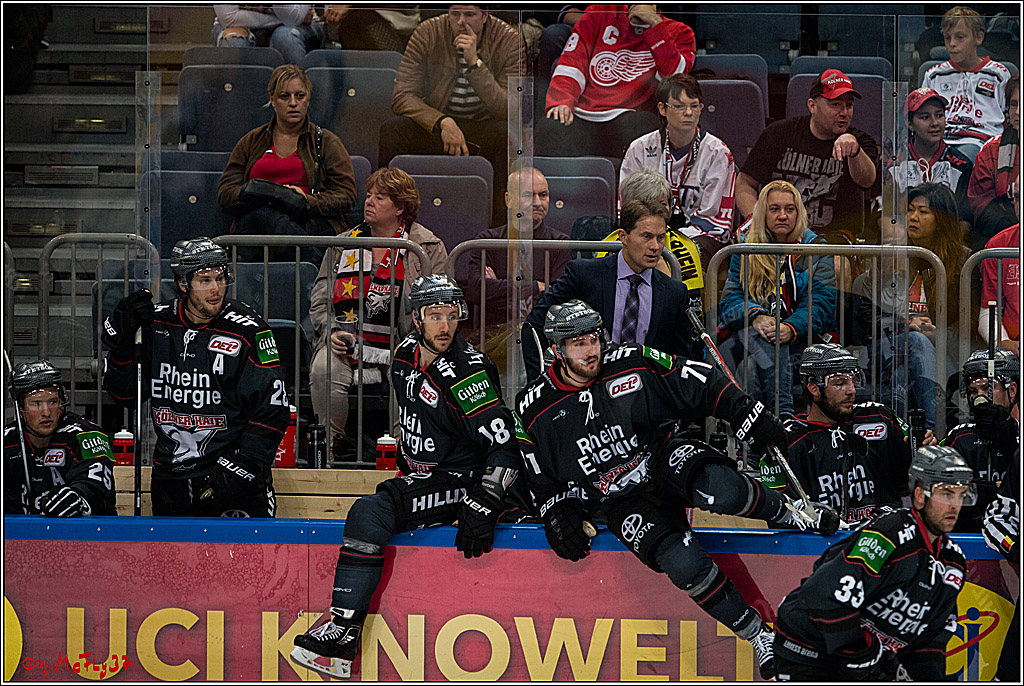 Koelner Haie - Krefeld Pinguine , 23.09.16(KW38)